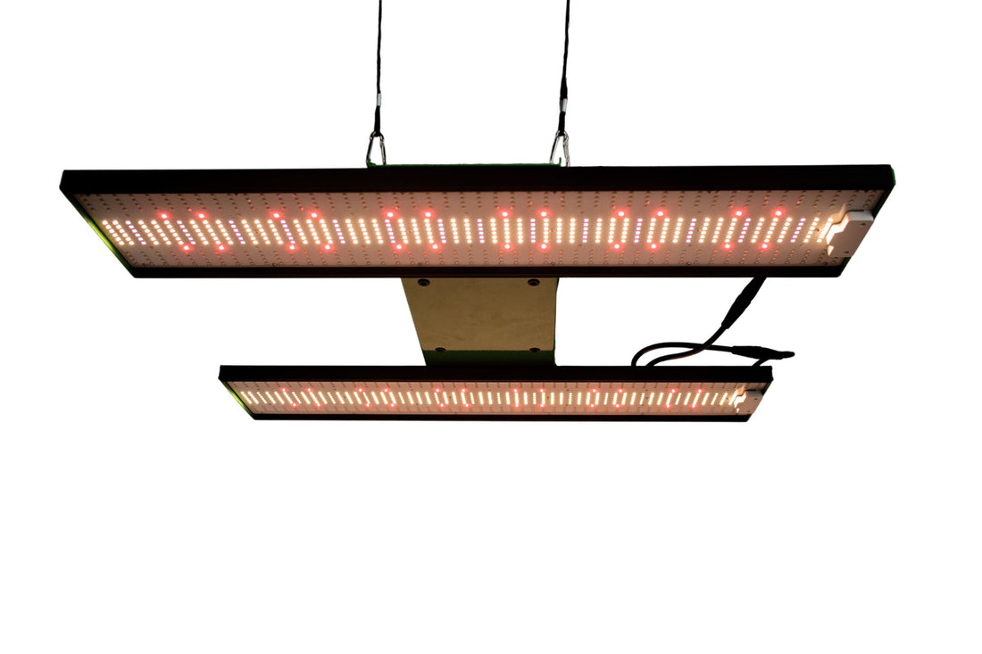 pro-emit Club – LED-Pflanzenlampe mit 3-Kanal-Steuerung, IP65 & 3,03 µmol/J